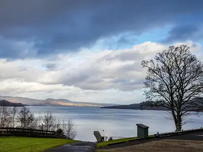 a tree and a bench next to a lake at Leven Lodge 3 - Uk46045 in Balloch