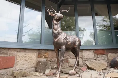 a statue of a deer standing in front of a building at Braid Hills Hotel in Edinburgh