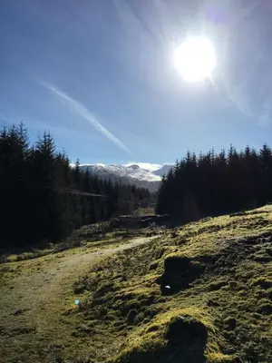 a dirt road in a field with the sun in the sky at Ewich House B&B in Crianlarich