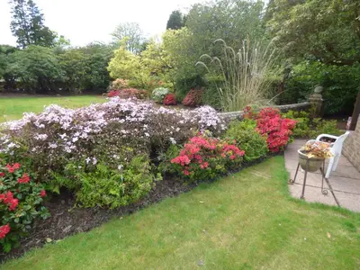a garden with pink and purple flowers and a bench at Moorlands in Helensburgh