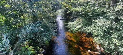 an aerial view of a road in a forest at Bank Place in Crieff
