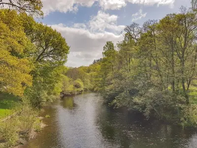 a river with trees on the side of it at Ben Vorlich Lodge in Saint Fillans