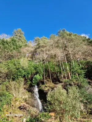 a waterfall on the side of a hill with trees at Ben Arthur Apartment in Lochgoilhead