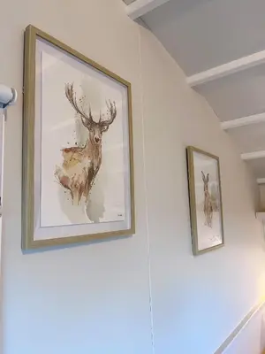 two pictures of a deer on a wall at Capledrae Farmstay Shepherds Huts in Cardenden
