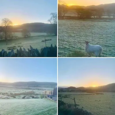 four pictures of a field with a sheep in a field at The Pod Over By in Kilmichael Glassary