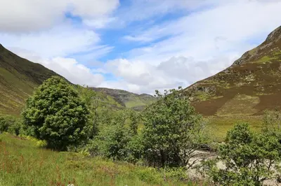 a view of a valley with trees and mountains at Lochelour Mill Cottage in Perth