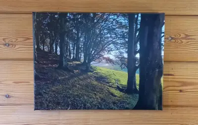 a painting of a forest of trees on a wooden wall at The New Farmhouse in Biggar