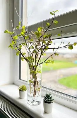 a vase filled with plants sitting on a window sill at Luxurious & Modern Apartment in Hawkhead