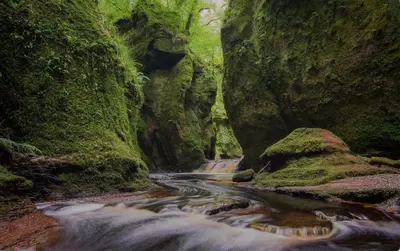 a small stream in a canyon with mossy rocks at The Mar Huts - The Conic Hut in Drymen
