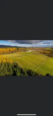 an aerial view of a green field with trees at The Annex at Meeks Park immaculate 2 bed in Alloa
