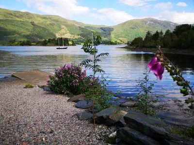 a river with flowers and a boat in the water at View of the Mountain in North Ballachulish