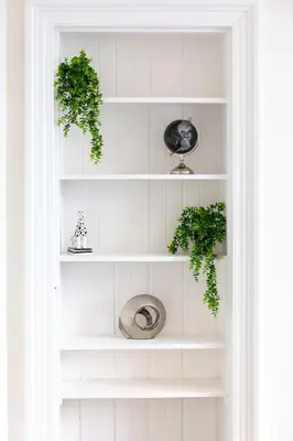 a white book shelf with two plants on it at Cuthbert House in Prestwick