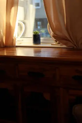 a potted plant sitting on a window sill at 3 Bedrooms Flat in Central Edinburgh Old Town Sleeps 6 in Edinburgh