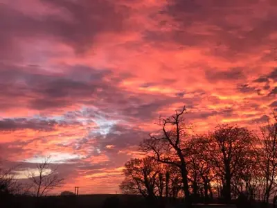 a sunset with trees in the foreground at Borrowmoss Bothy, Charming & Characterful property, Wigtown in Wigtown