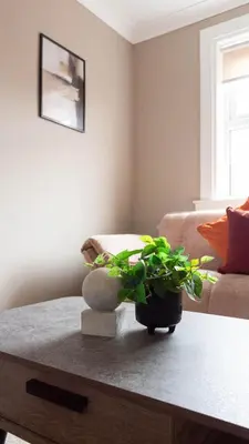a living room with a table with a plant on it at Airth House in Airth