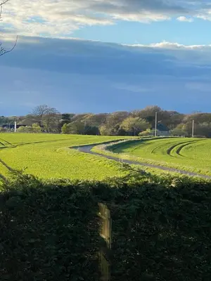 a field of grass with a road in it at WHITEHILL STABLES in Kirknewton