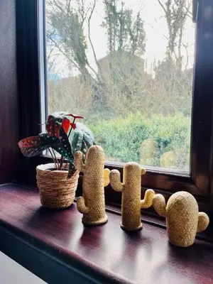 a window sill with two stuffed animals and a plant at Castle Gait Apartment in Paisley