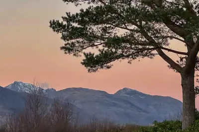 a pine tree with mountains in the background at 1 Bedroom Cabin with Mountain & Loch Views - Quiet Location between Glencoe & Ben Nevis in Onich