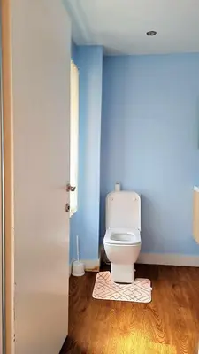 a bathroom with a white toilet in a blue wall at The Rest in Tarbert