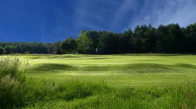 a green golf course with trees in the background at Green Hotel, a member of Radisson Individuals in Kinross