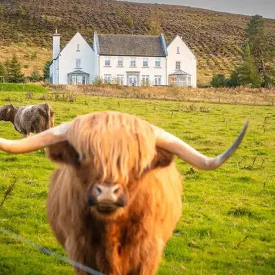 Alexander House 24 - Self Catering