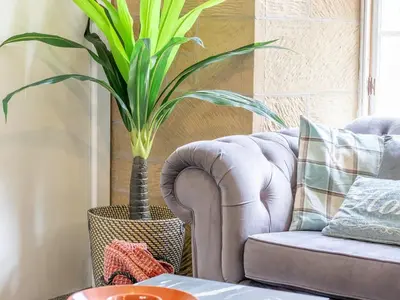 a living room with a couch and a potted plant at Private Garden West End with Parking - Pass the Keys in Glasgow