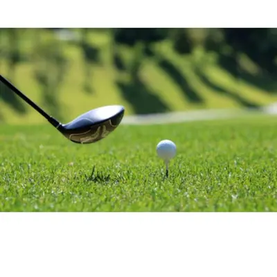 a golf club and a golf ball in the grass at 'Maisie' in ApartNest Auchterarder in Auchterarder