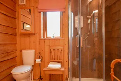 a bathroom with a toilet and a shower at Rowan Log Cabin in Dalavich
