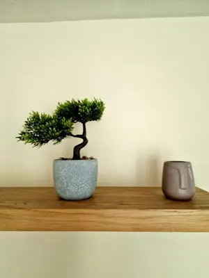 a small tree sitting on a wooden shelf with a speaker at Yuriko in Saint Davids
