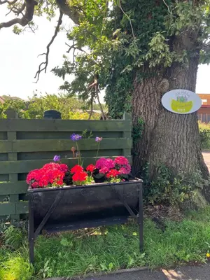 a bench with flowers in it next to a tree at Wee Shepherds Hut Maybole in Maybole