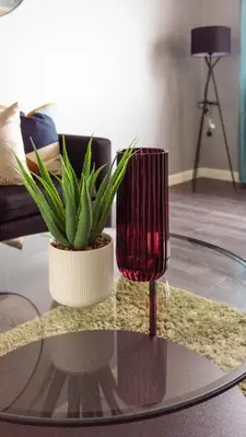 a glass table with a potted plant and a wine glass at Croftspar House in Glasgow