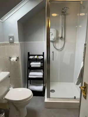 a bathroom with a shower and a toilet and a sink at Daviot Guest House in Ayr