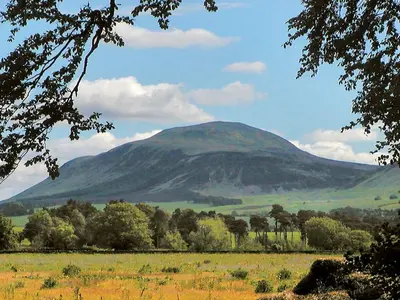 a mountain in the distance with a field and trees at Bracken Log Cabin - S4468 in Glenfarg