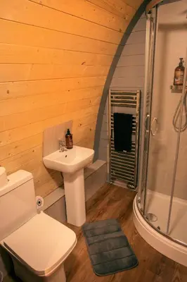 a bathroom with a toilet sink and a shower at Green Oak Nature Retreat in Dunfermline