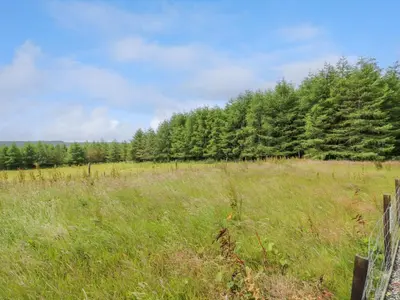 a field with a fence and trees in the background at The Barn, Drumbow Farm in Airdrie