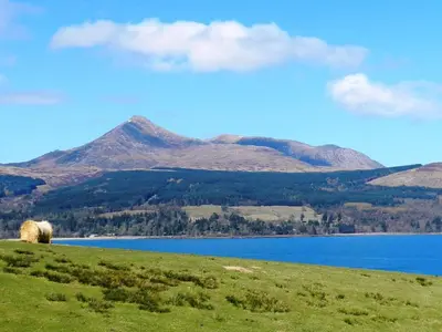 a sheep grazing on a hill next to a lake at Goatfell View in Brodick