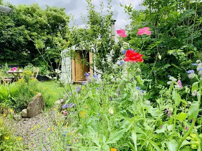 a garden with colorful flowers and a wooden shed at Wester Auchraw Croft B&B in Lochearnhead