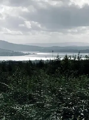 a view of a body of water with trees and a field at House in Drymen Village with free local health club access in Glasgow