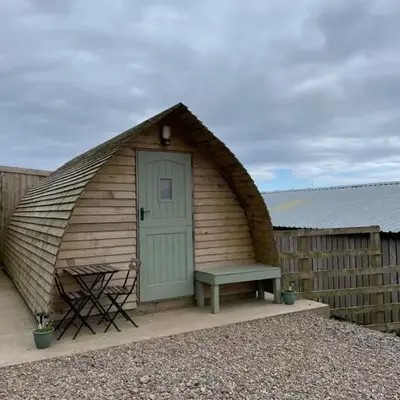 Penny gown farm pod