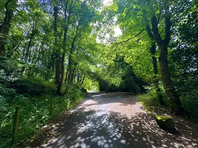 a dirt road with trees on either side at The Orchard Suite in Dalserf