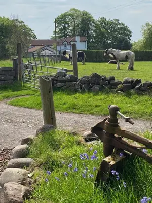 a park with horses in a field and a fence at The Fells - Campsie Luxury Pods with hot tub in Glasgow
