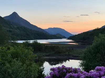 a view of a river with mountains and purple flowers at The Steadings in Kinlochleven