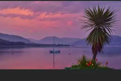 a palm tree and a boat in a body of water at Fraoch, Pets welcome in Port Bannatyne