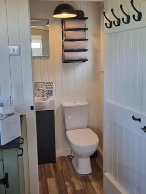 a bathroom with a toilet and a sink at North Muasdale Farm, Ewe View in Muasdale