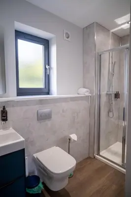 a bathroom with a shower and a toilet and a sink at Lowwood Lodges in Houston