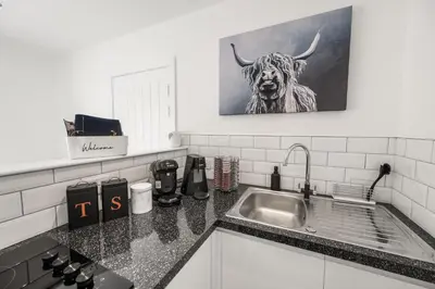 a kitchen sink with a picture of a bull on the wall at Beautiful 1 BR apt with private patio and free parking in Dunollie