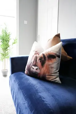 a picture of a dog on a pillow on a couch at Barclay House in Livingston