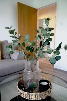 a vase with a plant on a table in a living room at Sunnyside Penthouse in Coatbridge
