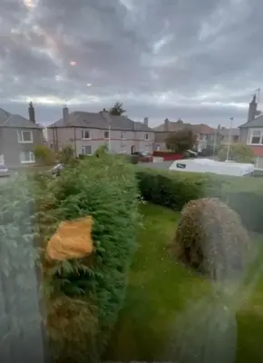 a view of a yard with bushes and houses at Room in a Home in Edinburgh