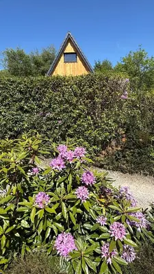 a bush with pink flowers in front of a building at 1 Bedroom Cabin with Mountain & Loch Views - Quiet Location between Glencoe & Ben Nevis in Corran